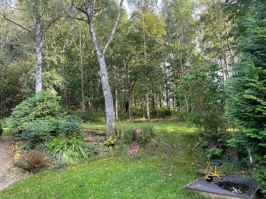 Lövkulleskogen, Gunnilse - Foto 1