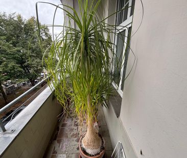 Gemütliche 4-Raum-Wohnung in Stadtfeld Ost! - Foto 1