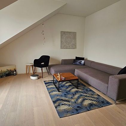 3½ Zimmer-Wohnung in Schneisingen (AG), möbliert, auf Zeit - Photo 1
