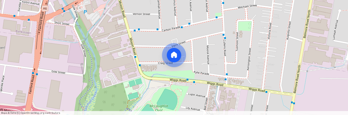 1/30A Craig Street, NSW 2196, Punchbowl