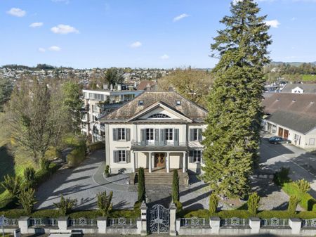 Einzigartiges Liebhaberobjekt - Historische "Villa Aurum" im Herzen von Rapperswil - Photo 4