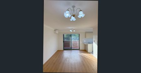 Light-Filled Renovated Home with No-Step Entry & Large Lock-Up Garage - Photo 2