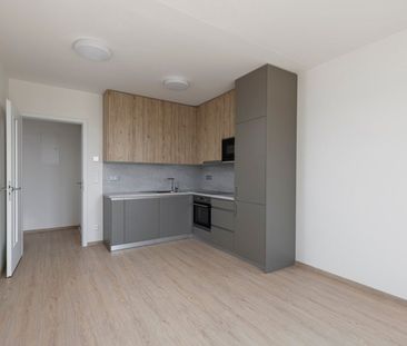 Pronájem bytu 2+kk • 47 m²Haenkeho, Praha - Řeporyje - Photo 5