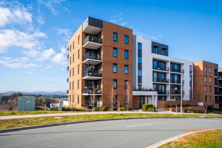 66/14 Hoolihan Street, Denman Prospect ACT 2611 - Apartment For Rent | Domain - Photo 5