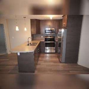 2 Bed 2 Bath 2 Parking Undgrd North Edmonton Schonsee - Photo 4