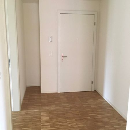 Untermiete fürs Freilager gesucht - Photo 4