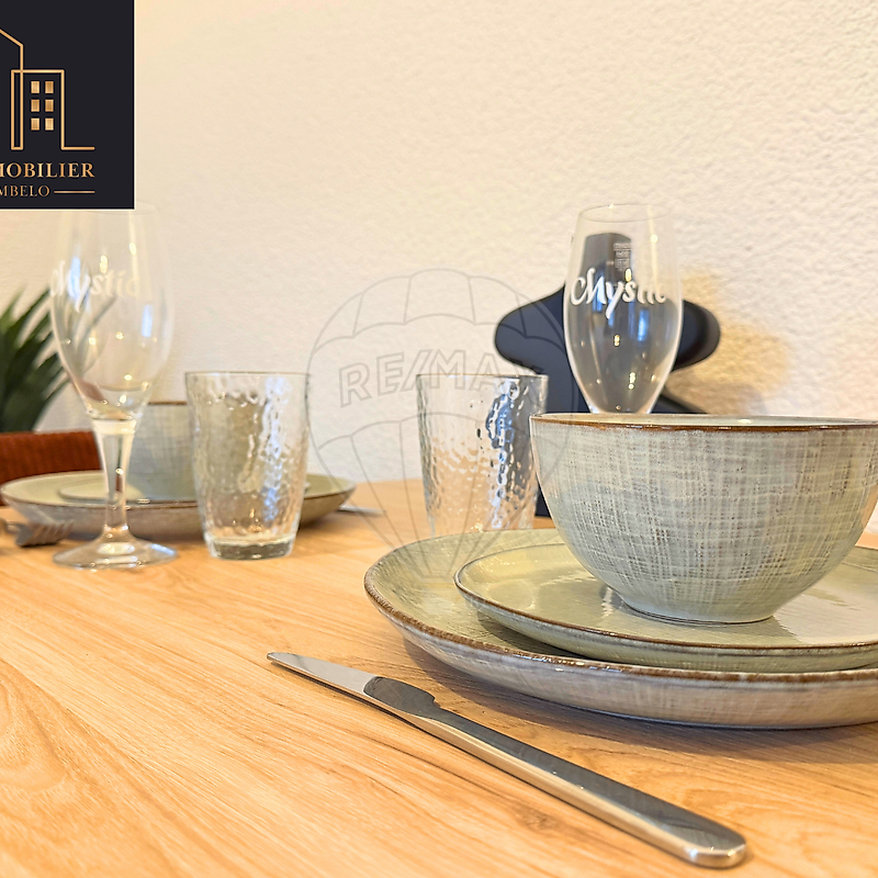 Location Appartement 1 pièce 25m² MARIGNIER 74970 - Photo 1