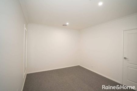 Jump into Jumbuck - Photo 5