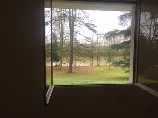 Location Appartement 1 pièce 25m² OLIVET 45160 - Photo 1