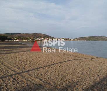 Μονοκατοικία για ενοικίαση Σαλαμίνα - Φωτογραφία 3