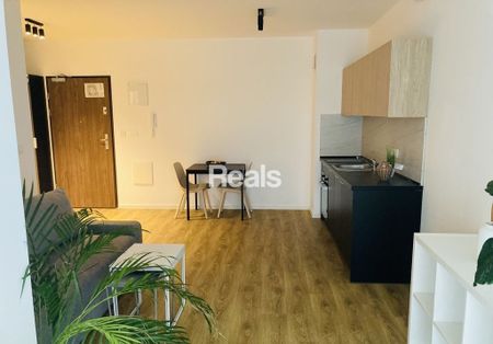 Warszawa, Praga-Południe, Pustelnicka - Zdjęcie 5