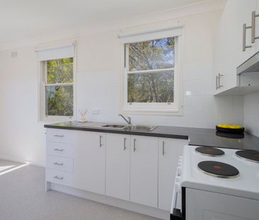 13 Parkhill Parade, Waratah West NSW 2298 - House For Rent | Domain - Photo 4