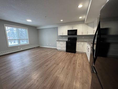 Small pet friendly 2 Bed Apt Located on the Beach Front! - Photo 3