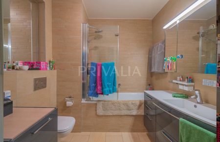 Beautiful through apartment in a green environment in the heart of Florissant - Photo 5