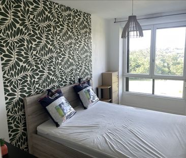 2 pièces - Meublé - 46,3 m² - 4ème étage - Colocation non autorisée - Photo 4