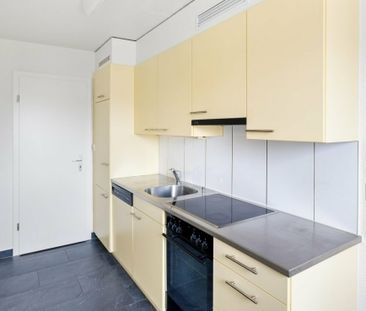 Apartment - Photo 6