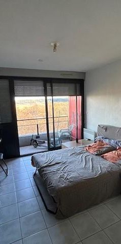 Location Appartement 1 pièce 20m² NARBONNE 11100 - Photo 1