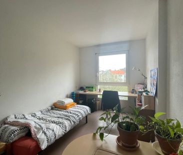 Location Studio en résidence étudiante University Meissonier, Fac d... - Photo 4