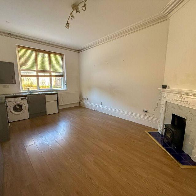 Lower Warberry Road, Torquay, TQ1 1QS - Photo 1