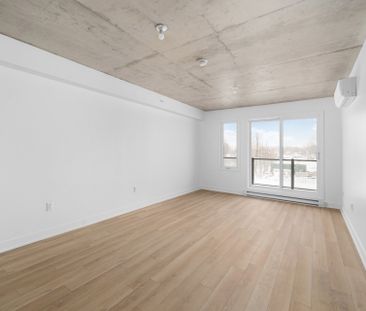 30 Av. Joseph-Laflèche, #312 - Photo 3