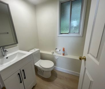 Beautifully Renovated Two-Level Home - Photo 3