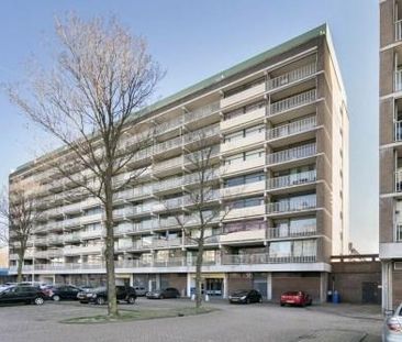 Bagijnenwaard 0ong, 2716 CW Zoetermeer, Nederland - Foto 1