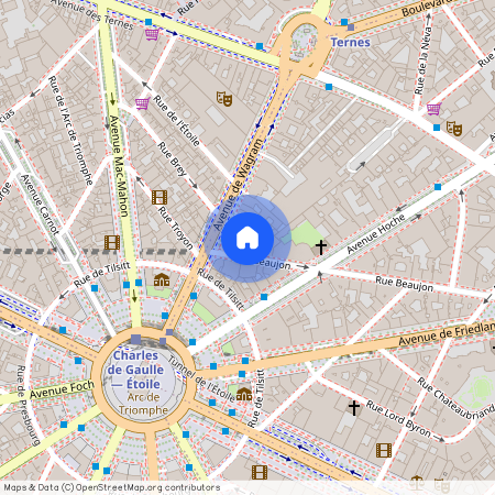 38 Rue Beaujon, 75008 Paris, France