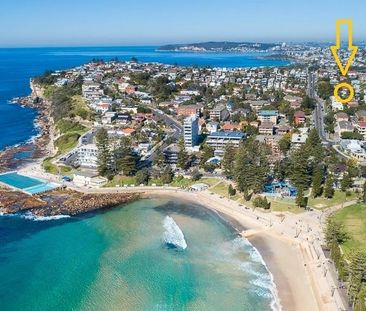 13A Banksia Street, Dee Why NSW 2099 - House For Rent | Domain - Photo 6