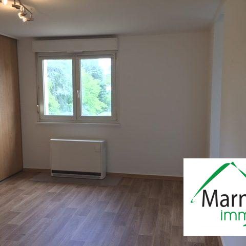 1 pièce cour Fernand Jaenger - Photo 1