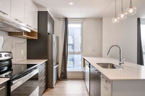 9675 Av. Papineau, app.9, H2B 3C8, H2B 3C8, Montréal - Photo 1