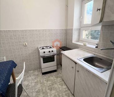 Kiadó lakás - Pécs - Fotó 5