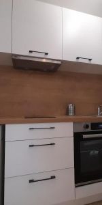 Location Appartement 1 pièce 30m² NANTES 44100 - Photo 3