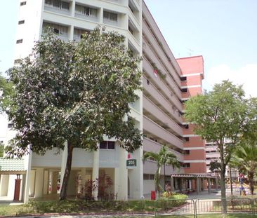 Blk 205 Tampines Street 21 (Tampines), HDB 3 Rooms - For Rent - Photo 5
