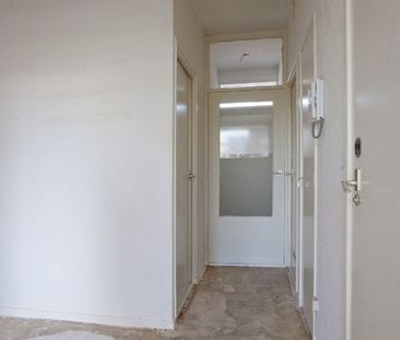 Plein 1953 0ong, 3086 Rotterdam, Nederland - Photo 5