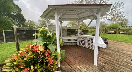 Roomy home for rent in Dairy Flat - Photo 2