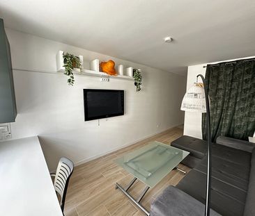 Location Appartement 1 pièce 19m² - Photo 3
