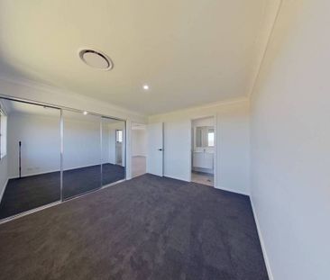 Dreaming of Champagne Drive - Photo 3