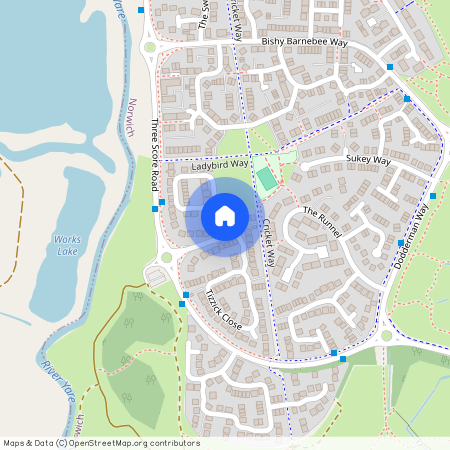 Rimer Close, Norwich, NR5