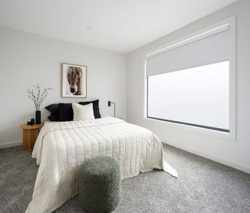 A Cut Above the Rest! - Photo 3