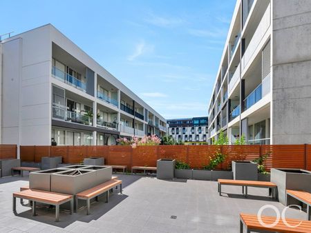 Open the Door To Modern, Low-Maintenance Living in Bowden - Photo 4