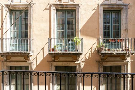 Carrer dels Tallers, Barcelona, Catalonia 08001 - Photo 2