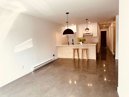 Appartement - 519 Rue St-Henri - Photo 3