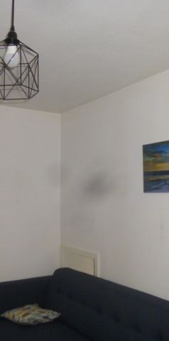 Location Appartement 2 pièces 31m² LE PUY EN VELAY 43000 - Photo 1