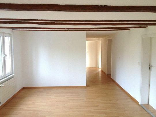 Grosse 5,5-Zi Wohnung zu vermieten Kopie - Photo 1