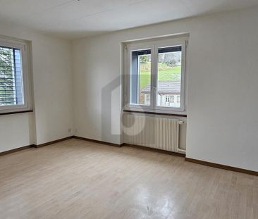 JOLIE VUE SUR LE LAC ET ENTIÉREMENT RÉNOVÉ - Foto 3