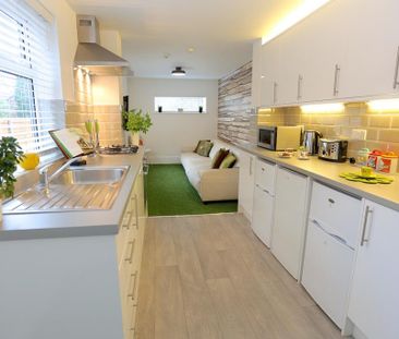 Studio to rent - Photo 5