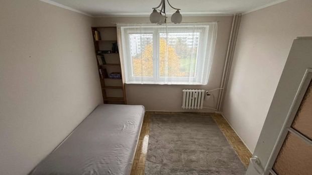 3-pok. mieszkanie dla rodziny 63 m² - Photo 1