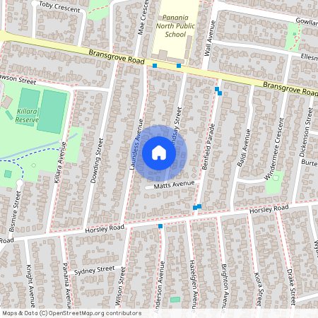 26A Lindsay Street, NSW 2213, Panania