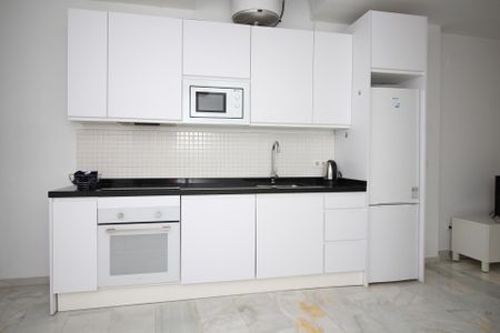 Estudio de alquiler en Fernando el Catolico, Cristo de la Epidemia - Photo 4