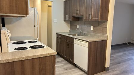 Manitoba, 50 Prevette Street, R2K 3E3, Winnipeg - Photo 2